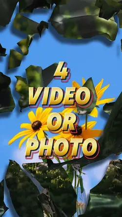 mini vlog
