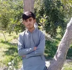 shigri 