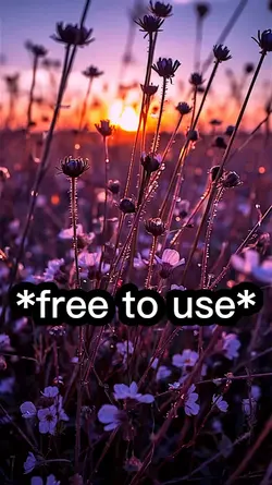 Free to use video