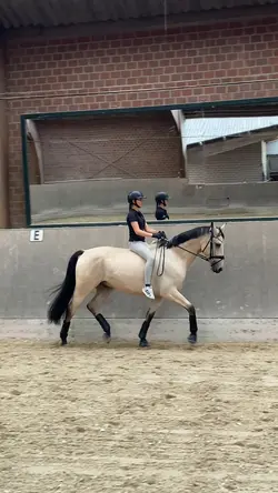 BAREBACK SLOMO 4K 😻💘