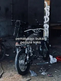 pemalu bkn pemula