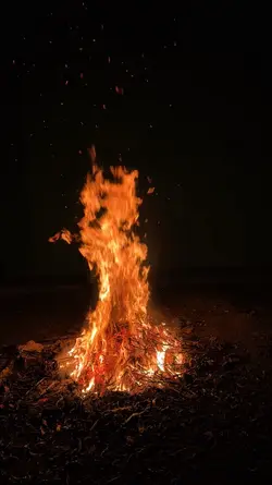 Slowmo reagge