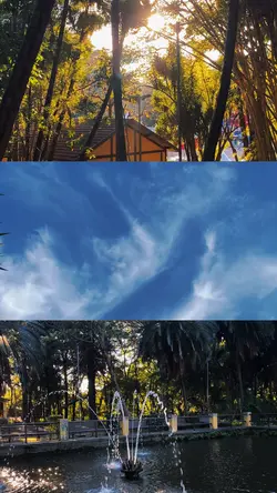 Tarde no parque 