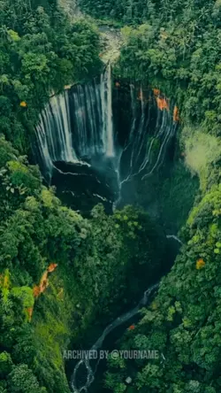 CINEMATIC NATURE