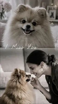 RIP My Lovely Dog