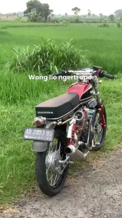 wong lio ngerti opo