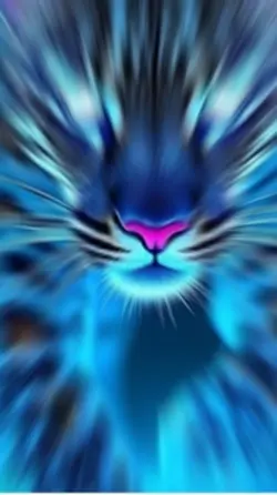 Beat Template VIII