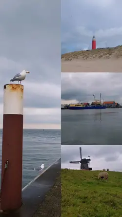 Nordsee