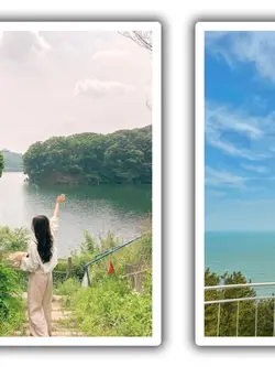 8Pic Clip Transition