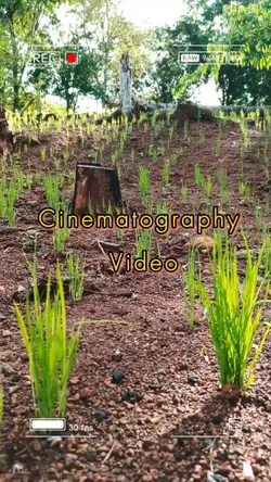 cinematography Video