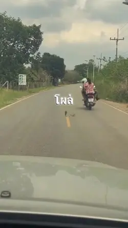 เธอโผล่มาจากไหน