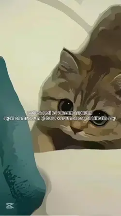 Bdava