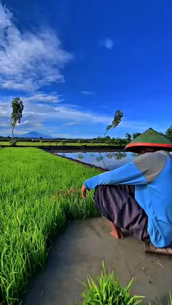 Thailand song trend