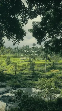 foto healing estetik