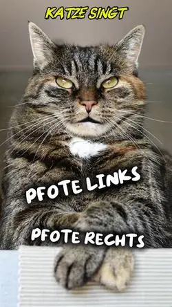 Katze singt lustig 😹
