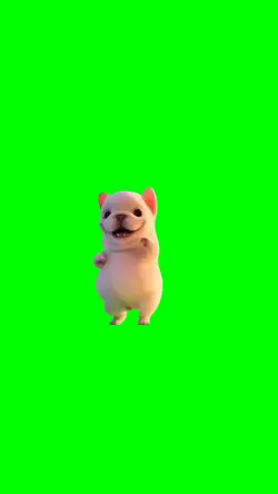 happy dog mod dance