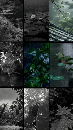 nature cinematic