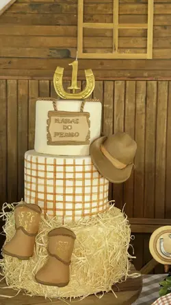 Aniversário Country