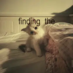 meow