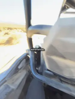 adrenaline