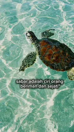 silent