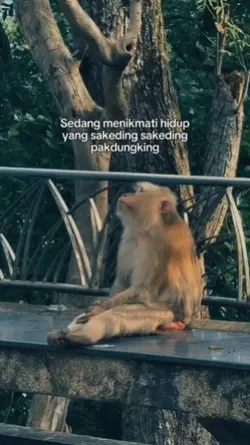 kata kata
