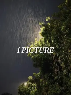 1 pic