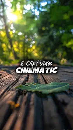 6 CLIPS VIDEO 