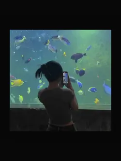 video bucin