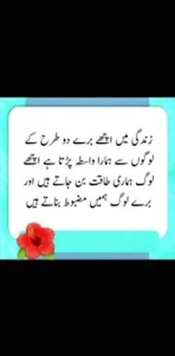 WhatsApp status 