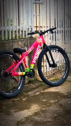 Bike rosa