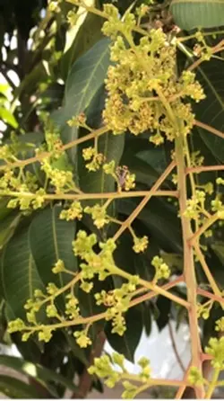 នរកលោកីយ៍