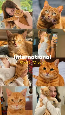 International CatDay