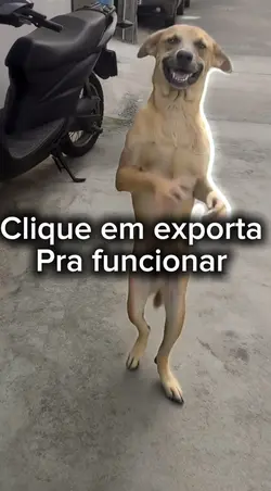 Cachorro dançando ia