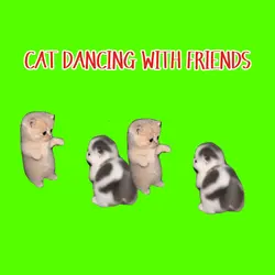 cat dancing