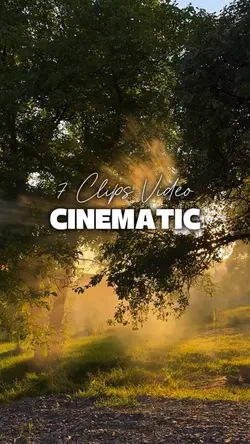 7 Videos Cinematic