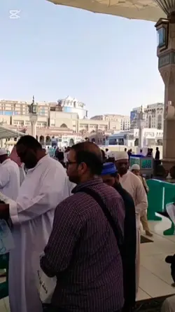 دلربا دلنشین 