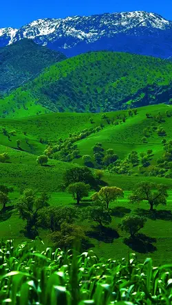 Aesthetic 4k