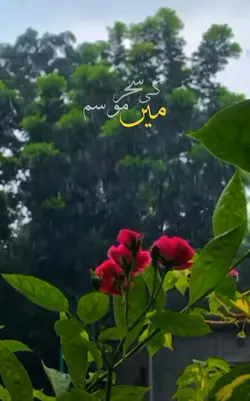 rainy day template 