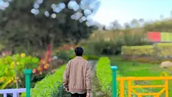four video template 