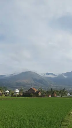 Kies gayo