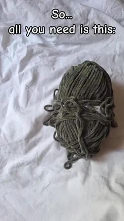 turtle transition 