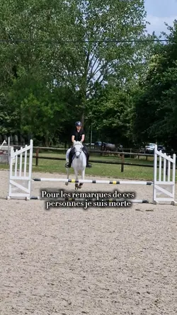 les remarques blesse