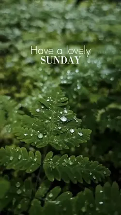 Have a lovely Sunday