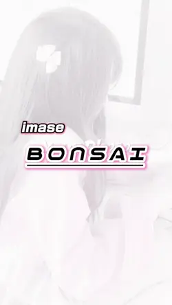 🎵BONSAI