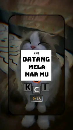 aku datang melamarmu