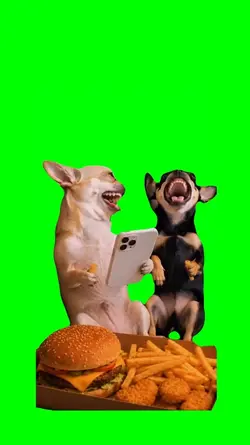 DOGS LAUGH MEME