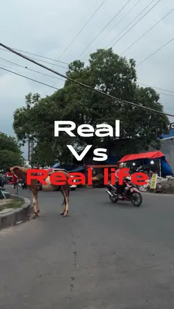 Real vs real life
