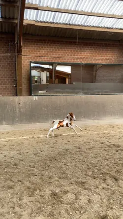 CUTE SLOMO 1 CLIP ❤️😍