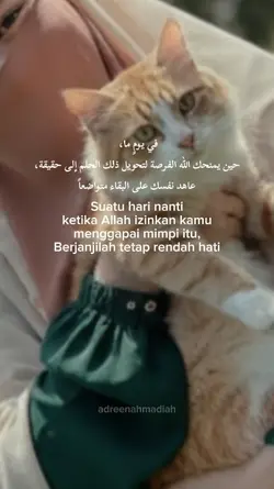 Quotes 